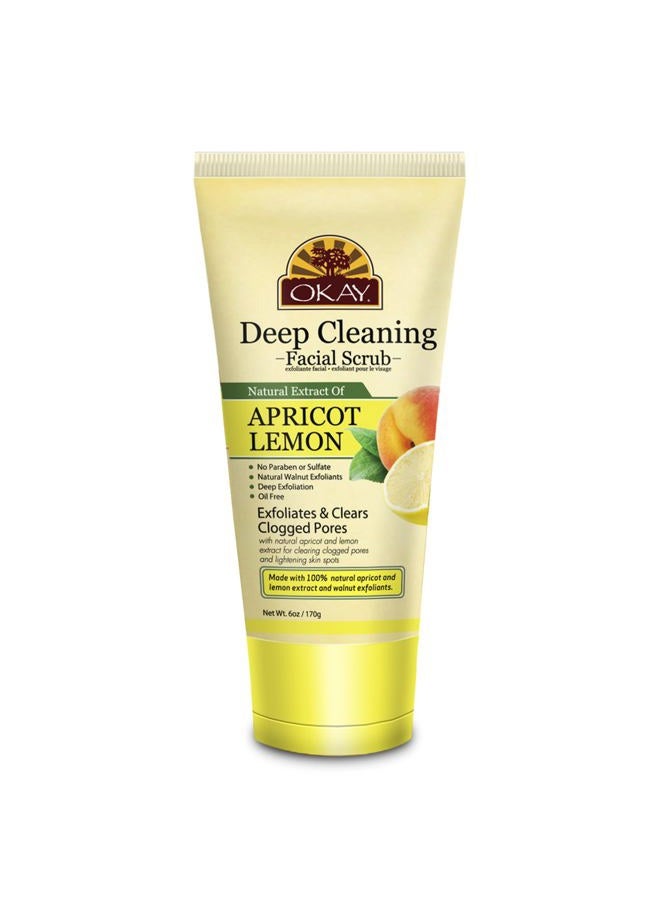 OKAY Oil Control Facial Scrub Exfoliator - Exfoliating Face Wash, Face Scrub for Women and Men, Moisturizing and Brightening, Leaves Skin Smooth and Clean, Paraben Free - Apricot Lemon, 6 oz (1 Pack) - Image 1