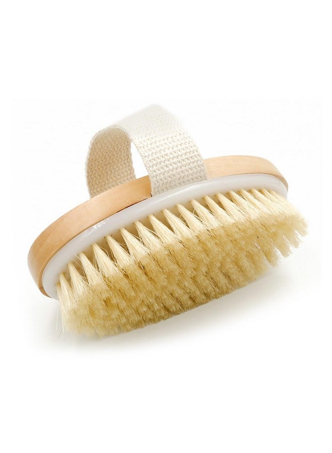 menesia Dry Body Brushexfoliating Brush For Flawless Skin Lymphatic Drainage & Blood Circulation Improvementsoft Bristle Bath Brush For Dry Skinexfoliating Body Scrubber & Foot Peel(Sun & Moon) - Image 3