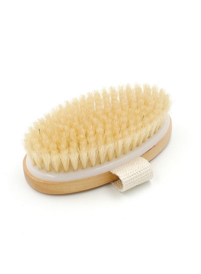 menesia Dry Body Brushexfoliating Brush For Flawless Skin Lymphatic Drainage & Blood Circulation Improvementsoft Bristle Bath Brush For Dry Skinexfoliating Body Scrubber & Foot Peel(Sun & Moon) - Image 4