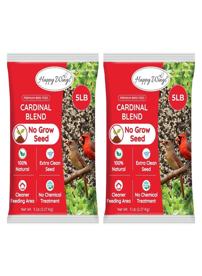 Happy Wings Cardinal Blend Bird Food, Mix of Sunflower and Safflower Seed, 10 Pounds - 5 Pounds Combo Pack of 2 | No Grow Seed | Bird Food for Wild Birds - Image 1
