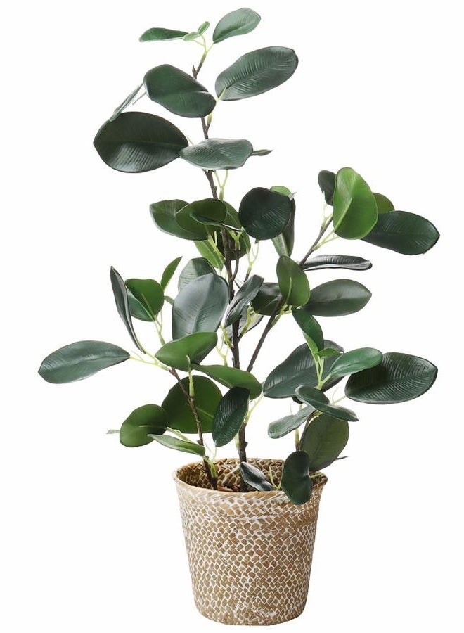 SAROSORA Artificial Ficus Tree Fake Plants in Weaved Pot 20" Height for Living Room Decor Indoor Home Office Ins Style (Green, 1) - Image 1