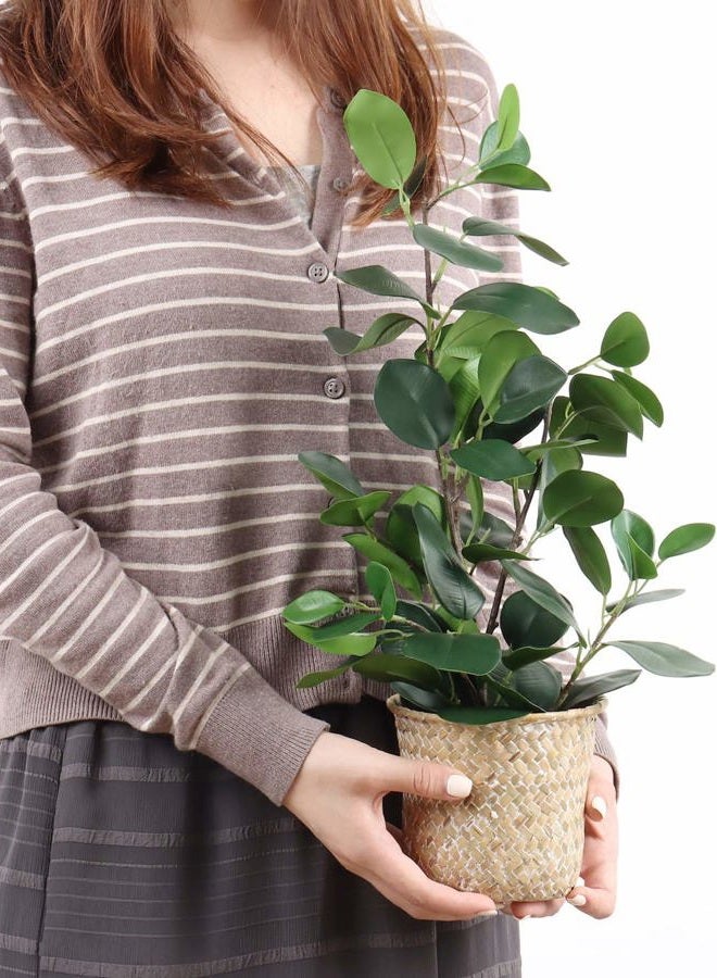 SAROSORA Artificial Ficus Tree Fake Plants in Weaved Pot 20" Height for Living Room Decor Indoor Home Office Ins Style (Green, 1) - Image 2