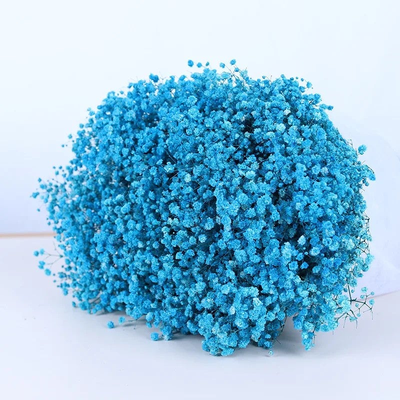 Bluejw Outlet Wedding Decor – Dried Baby's Breath Bouquet | Natural Preserved Gypsophila Flowers for Rustic & Boho Arrangements | Long-Lasting Dried Plants for Home & Event Decoration - Image 1