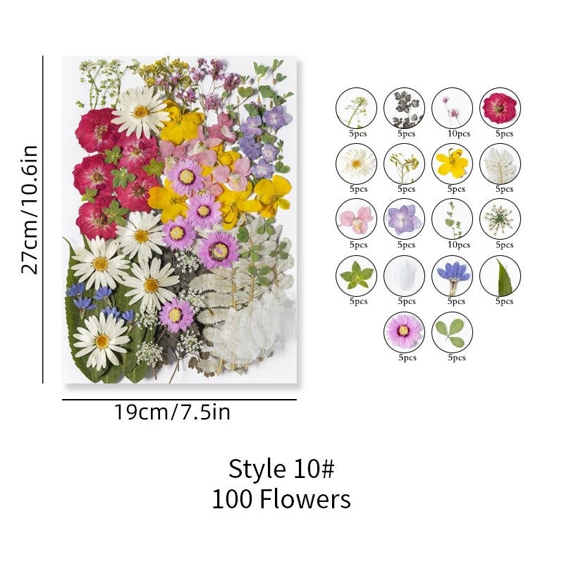 Bluejw ZS031 Real Pressed Dried Flowers – Natural Dried Plants for Candle Making, Resin Jewelry, Nail Art, Kitchen Decor, Pendant & DIY Craft Kits - Image 1