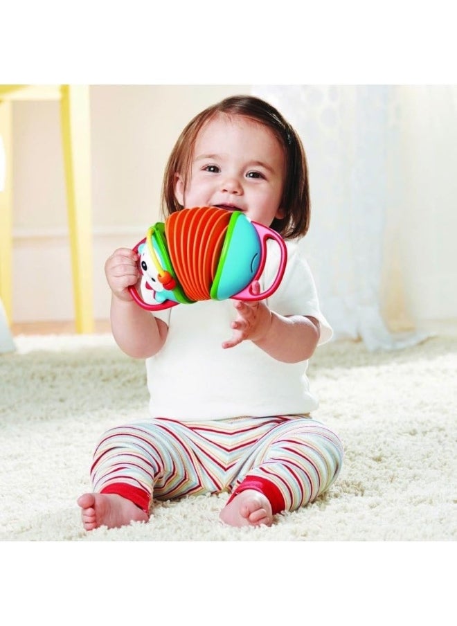 Skip Hop Skip Hop Explore and More Accordion Toy, Hedgehog  - Image 4