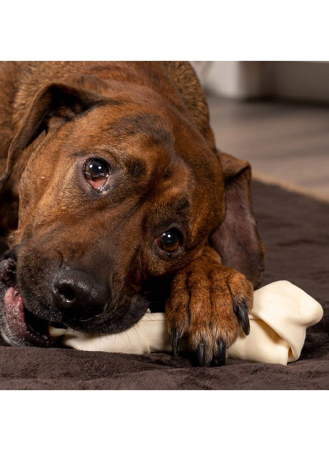 بيت فاكتوري حلوى مضغ للكلاب من Pet Factory American Beefhide مقاس 6-7 بوصات بعظام معقودة - نكهة طبيعية، 10 قطع/عبوة واحدة  - Image 2
