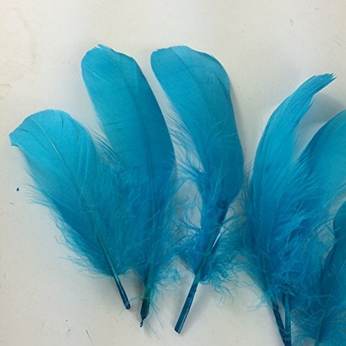 Sowder Natural Goose Feathers Clothing Accessories Pack of 100(Turquoise) - Image 2