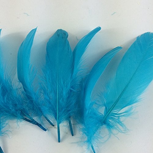 Sowder Natural Goose Feathers Clothing Accessories Pack of 100(Turquoise) - Image 3