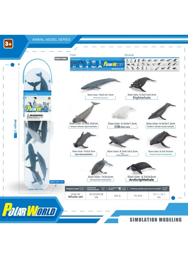 null - Simulation Antarctic Arctic Penguin And Whale Storage Box Model Set Mini Polar World Animal Ornaments-Color:BL-1195B Whale Set 182g - Image 1