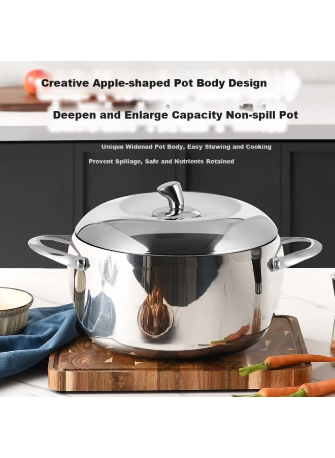 Olofe 316 Stainless Steel Apple Soup Pot Baby Food Pot Thickened Bottom Porridge Soup Pot Stew Pot 20cm - Image 3