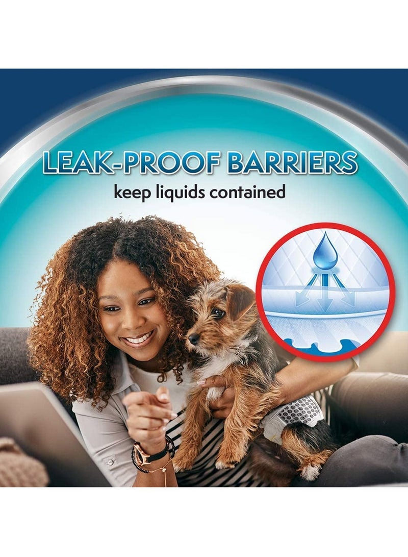 Simple Solution Large Disposable Male Dog Wraps 12Pc - Image 4