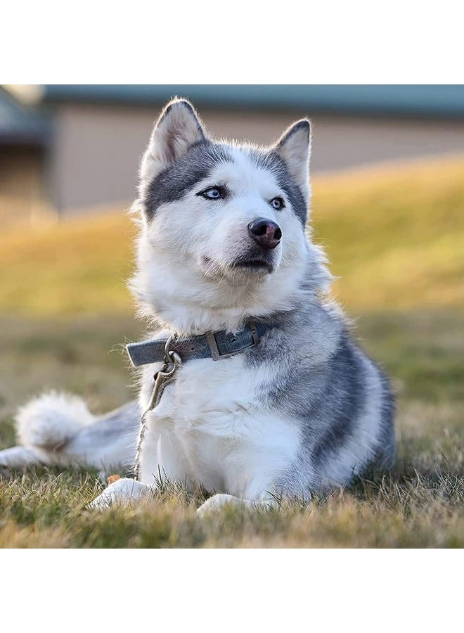 MOZETO Dog Collar Safety Clip, Stainless Steel Heavy Backup for Prong Collar, Dog Harness Collar Leash Connector (7 inches) - Image 5