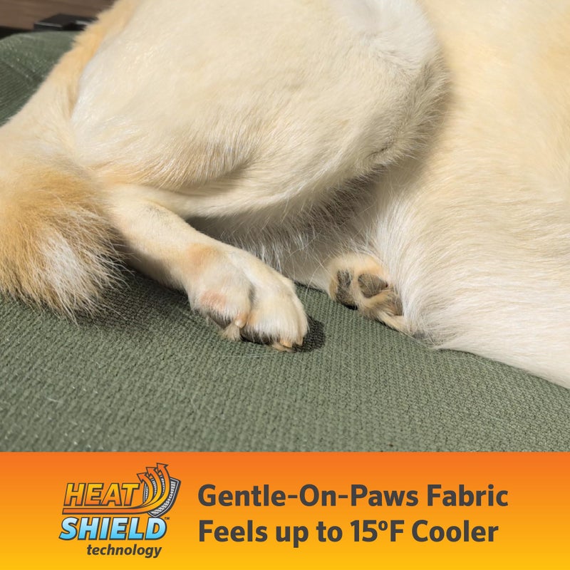 Coolaroo Pro Elevated Dog Bed with HeatShield Fabric â€“ Advanced Cooling Raised Cot for Small & Medium Breeds, Easy-Clean, Low-to-Ground Access, Bonus Bolster Pillow â€“ Glacier Grey - Image 2