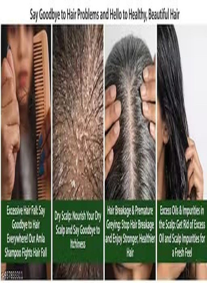 aswini Amla Shampoo 450ml | Enriched with Amla Extracts for Hair Suitable for Men & Women | Daily Hair Care Shampoo - Image 4