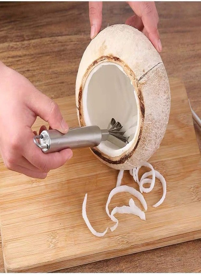 Junfamilee Silver Stainless Steel Coconut Meat Slicer Scraper Fish Scales Removal Scraper Fruit Vegetable Grater Kitchen Peeler Tool, Peelers, Graters, Peelers and Slicers - Image 5