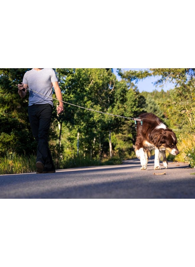 نيتش-فايندز سلسلة كلاب من الفولاذ المقاوم للصدأ (الكلاب الكبيرة والمتوسطة (2.5 مم - طول 4 أقدام) بمقبض من القماش قابل للإزالة والغسل بطول 1.2 متر - Image 5