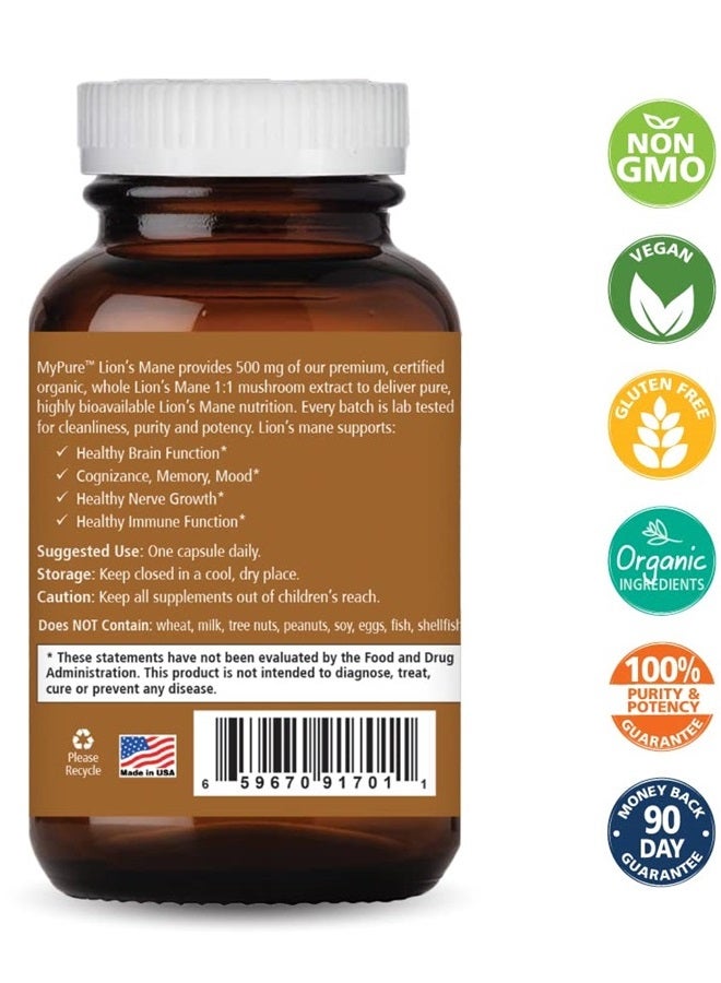 PURE ESSENCE LABS MyPure Lions Mane Organic Mushroom Supplement - 100% Real Mushroom Extract for Immune Support, Combat Stress, Build Energy - Best Immune Booster for Men and Women (30 Capsules) - Image 2