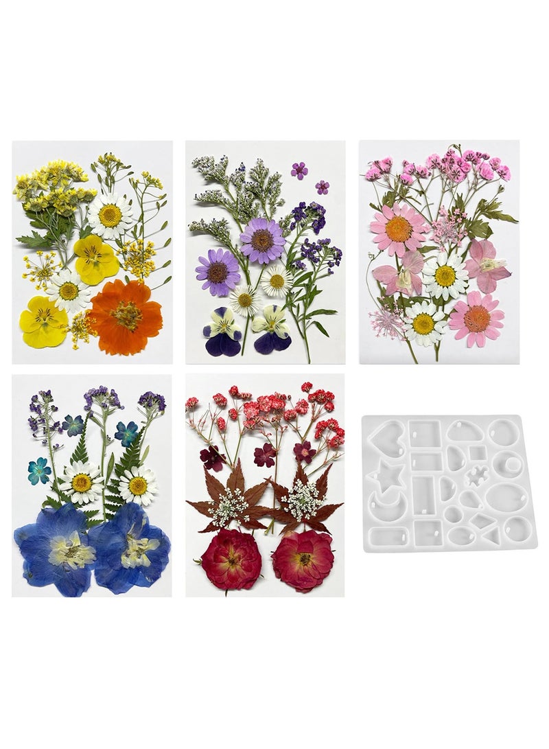 KASTWAVE Dried Pressed Flowers for Resin, 60PCS Real Natural Pressed Flowers with Resin Charm Molds for Scrapbooking DIY Art Crafts Jewelry Molds Candle Soap Making Nails Decor - Image 1