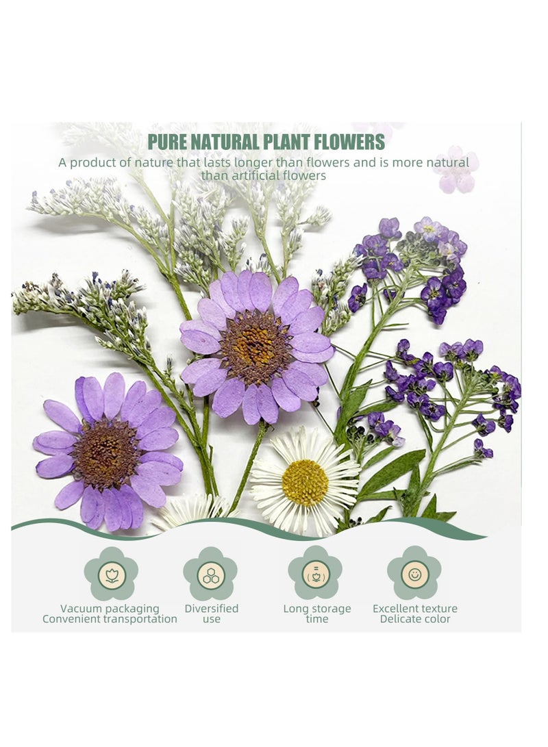 KASTWAVE Dried Pressed Flowers for Resin, 60PCS Real Natural Pressed Flowers with Resin Charm Molds for Scrapbooking DIY Art Crafts Jewelry Molds Candle Soap Making Nails Decor - Image 2