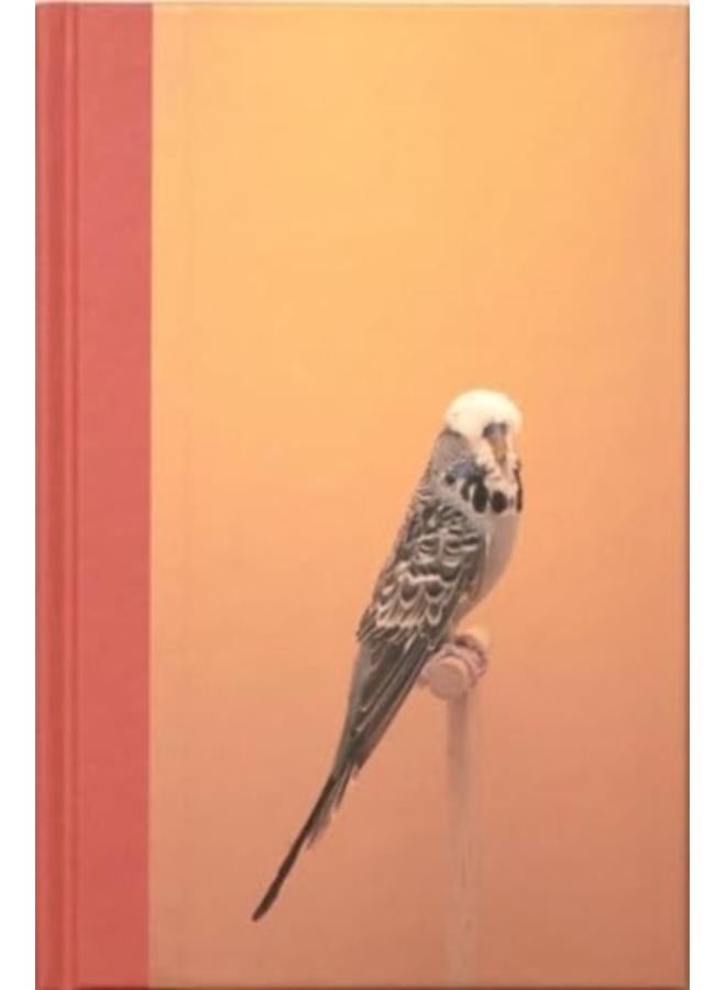 An Incomplete Dictionary of Show Birds 