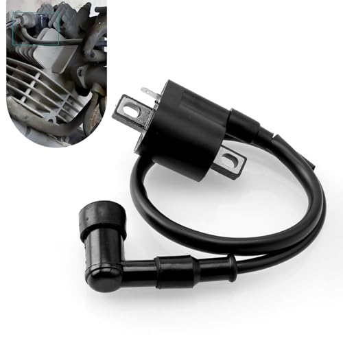 Arwrilt Engine Ignition Coil for Motorcycle Racing Ignition Coil Compatible with125cc 150cc 200cc 250cc Vertical Engine Scooter Buggy ATV Dirt Bike Go Kart Black - Image 1