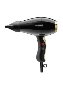 ELCHIM Elchim 3900 Healthy & Light Ionic Professional Dryers, Lightweight with 2 Concentrators Included, Multiple Color Options 