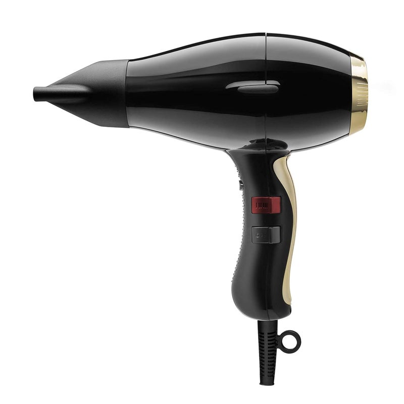 ELCHIM Elchim 3900 Healthy & Light Ionic Professional Dryers, Lightweight with 2 Concentrators Included, Multiple Color Options 