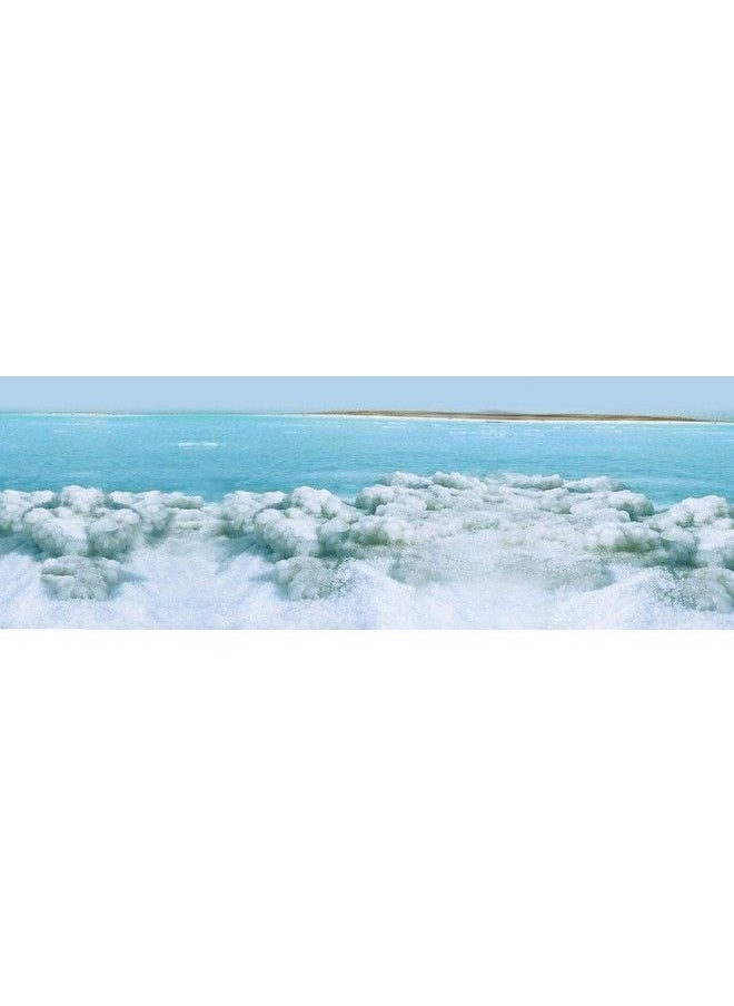 Swisa Beauty Sensation - Swisa Beauty Dead Sea Body Butter Milk And Honey Thick And Creamy Skin Softener Leaves The Skin Silky Smooth And Refreshed. - Image 1