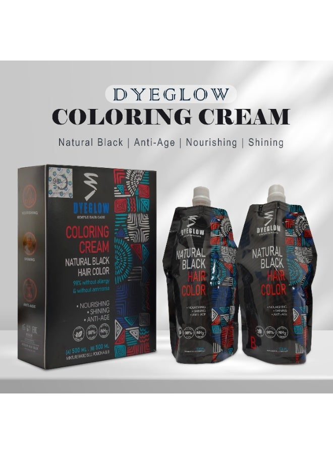 DYEGLOW Natural Black Hair Coloring Cream 98% Without allergy & Without ammonia , Nourishing, Shining, Anti-age 500ml*2 - Image 5
