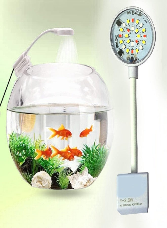 Smiling Pets Aquarium Light Fishbowl Mini Clip Light Professional High Brightness Energy Saving LED Aquarium Light for Aquarium Fishbowl Plants Terrarium Light with Switch to Color Change - Image 1