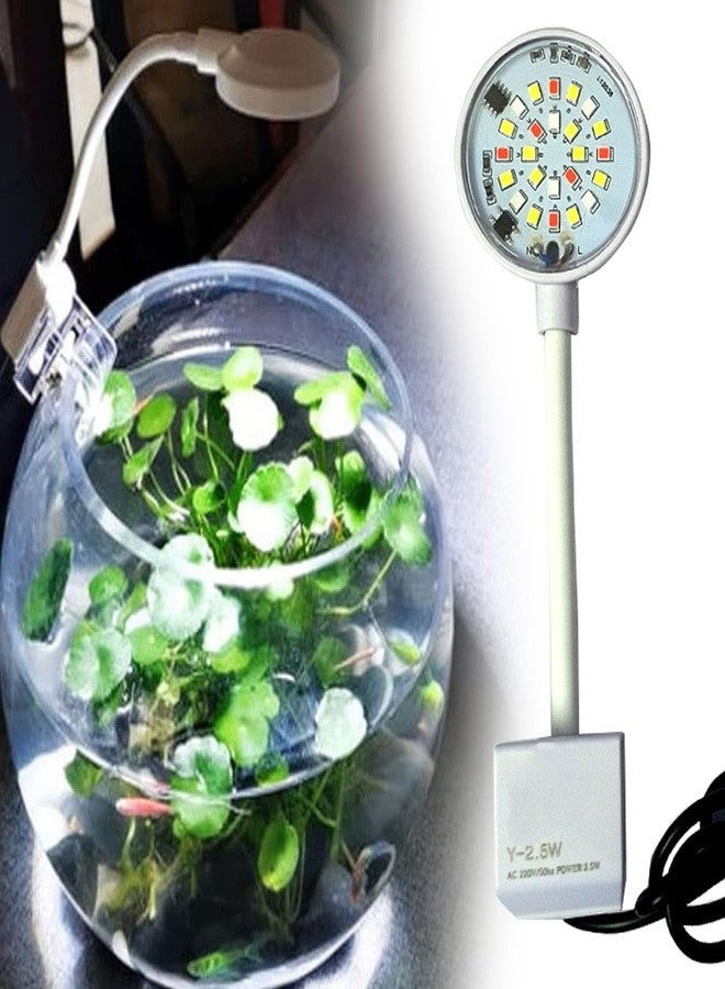 Smiling Pets Aquarium Light Fishbowl Mini Clip Light Professional High Brightness Energy Saving LED Aquarium Light for Aquarium Fishbowl Plants Terrarium Light with Switch to Color Change - Image 3