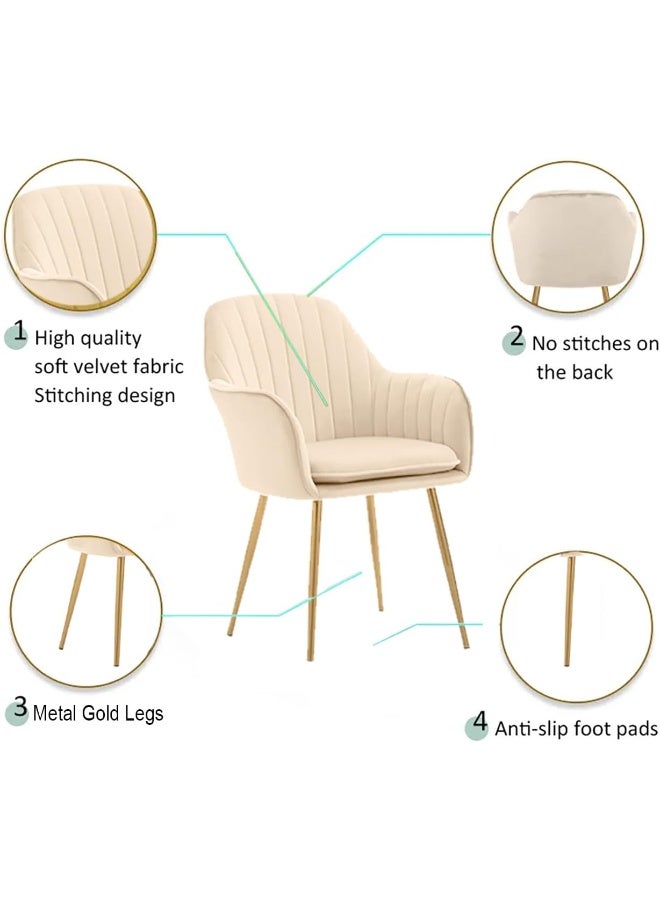 Poppins Home Poppins HOME Modern Nordic Design Cozy Light Luxury Simple And Durable Velvet Dining Chair in Gold Leg (Yellow) - Image 4