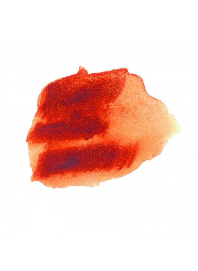 Daniel Smith DANIEL SMITH Extra Fine Watercolor Paint, 12ml Stick, Quinacridone Burnt Orange, 284670005  - Image 5