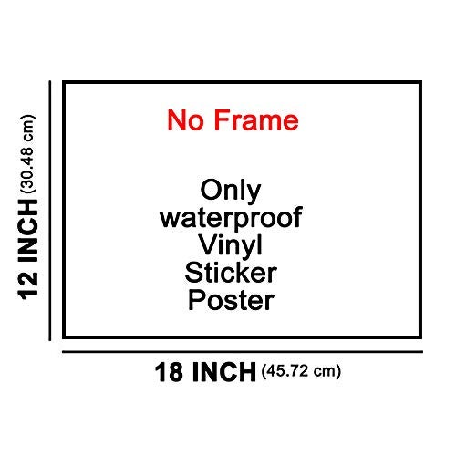 wallpics India Map Fully Waterproof Vinyl Sticker Poster (12X18 inches), 1 Piece, Multicolour - Image 2