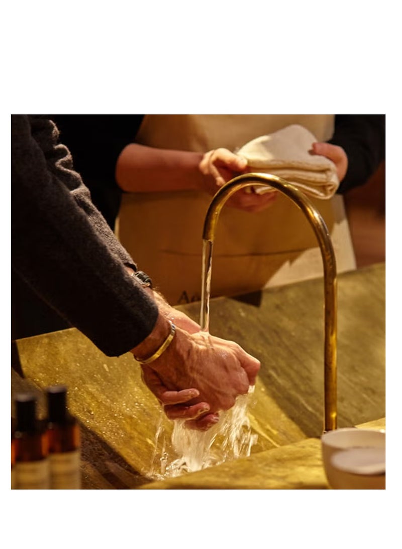 أيسوب عبوة إعادة تعبئة غسول اليدين Aesop Reverence Aromatique 500 مل - Image 3