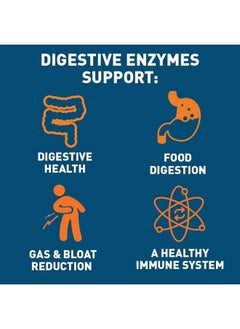 Dr. Tobias Digestive Enzymes with Amylase, Bromelain, Lipase, Lactase, Protease, Papain & More, Digestion Supplement with 18 Enzymes for Digestion and Gut Health, 30 Capsules, 15 Servings  - Image 4