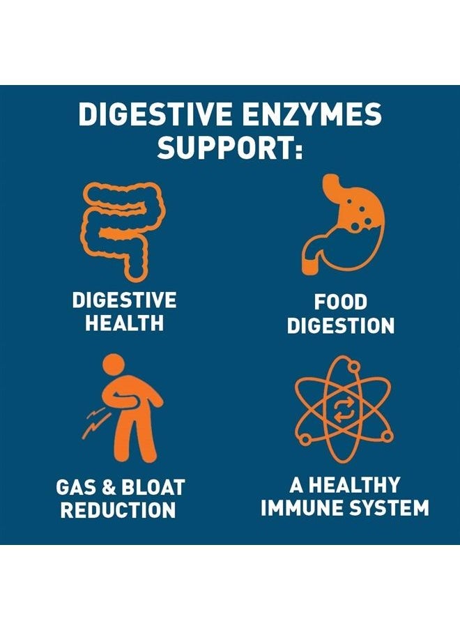 Dr. Tobias - Digestive Enzymes with Amylase, Bromelain, Lipase, Lactase, Protease, Papain & More, Digestion Supplement with 18 Enzymes for Digestion and Gut Health, 30 Capsules, 15 Servings - Image 1