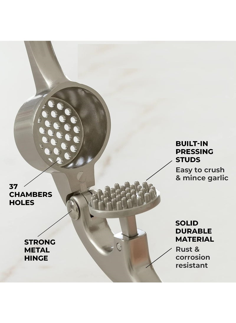 TOP CHOICE - Multifunctional Stainless Steel Garlic Press,Metal Garlic Crusher,Washable Garlic Crusher,Kitchen Garlic Mincer,Ginger Squeezer - Image 1