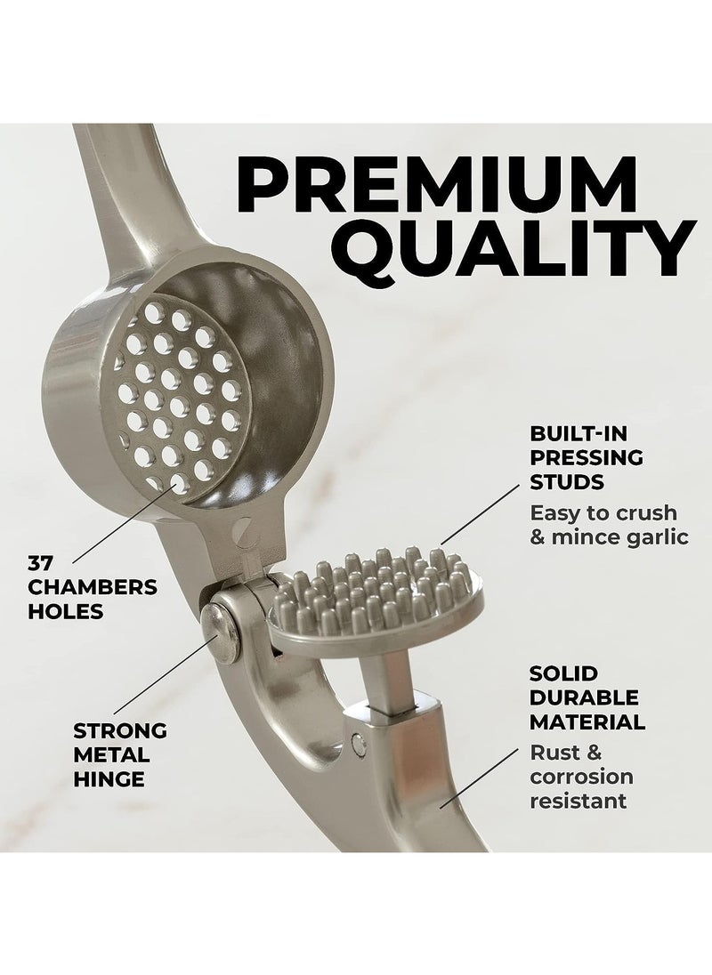 TOP CHOICE - Multifunctional Stainless Steel Garlic Press,Metal Garlic Crusher,Washable Garlic Crusher,Kitchen Garlic Mincer,Ginger Squeezer - Image 1