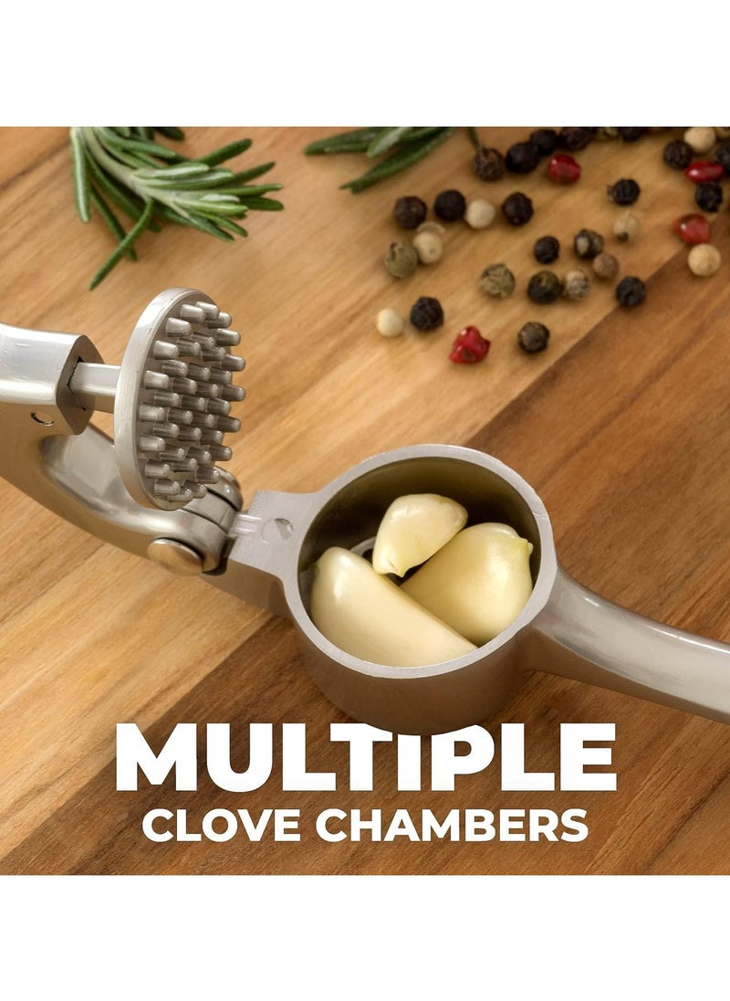 TOP CHOICE - Multifunctional Stainless Steel Garlic Press,Metal Garlic Crusher,Washable Garlic Crusher,Kitchen Garlic Mincer,Ginger Squeezer - Image 1