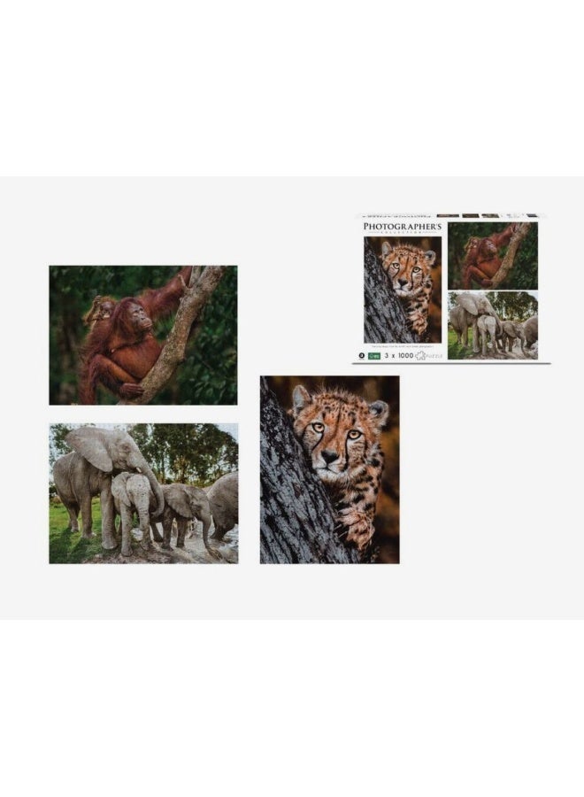 Ambassador Photographer's Collection Donald Boyd Tri-Pack Jigsaw Puzzle (Pack of 3, 1000+ Pieces) - Image 2