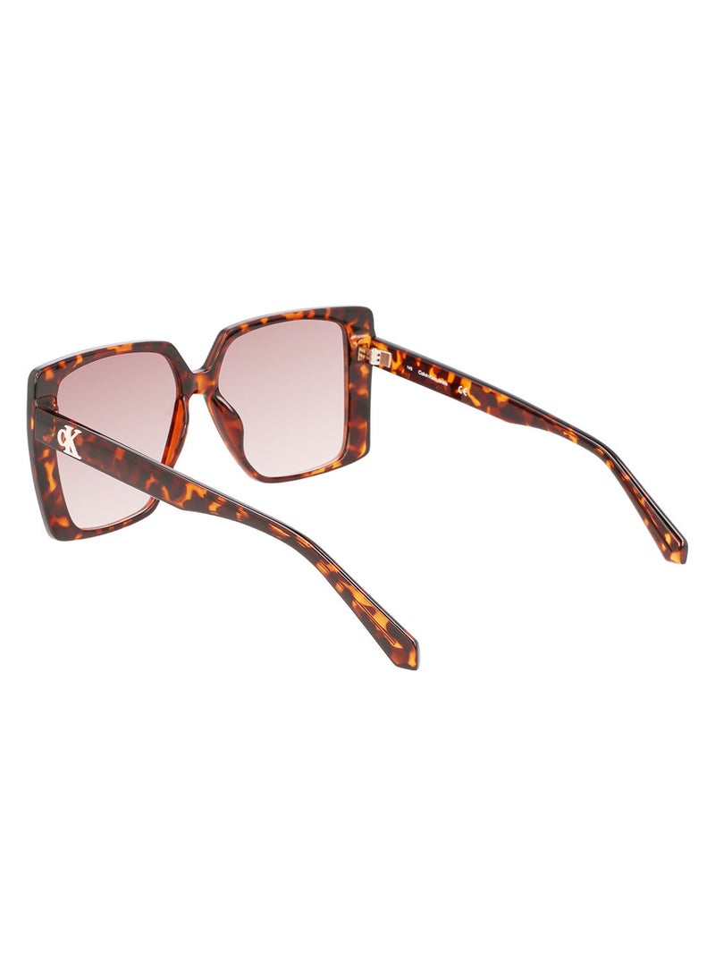 Calvin Klein Jeans Full Rim Injected Square Calvin Klein Jeans Sun Ckj22607S 5614 (240) Tortoise - Image 3