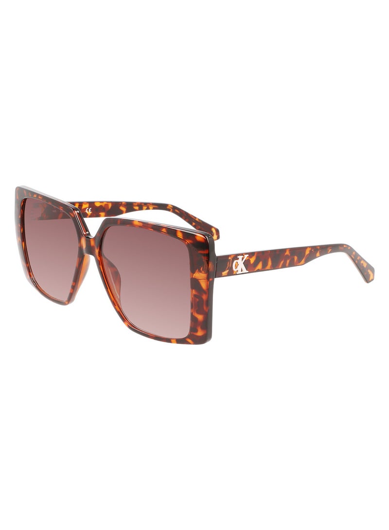 Calvin Klein Jeans Full Rim Injected Square Calvin Klein Jeans Sun Ckj22607S 5614 (240) Tortoise - Image 1