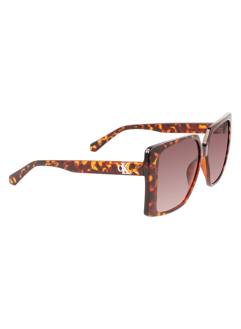 Calvin Klein Jeans Full Rim Injected Square Calvin Klein Jeans Sun Ckj22607S 5614 (240) Tortoise - Image 2