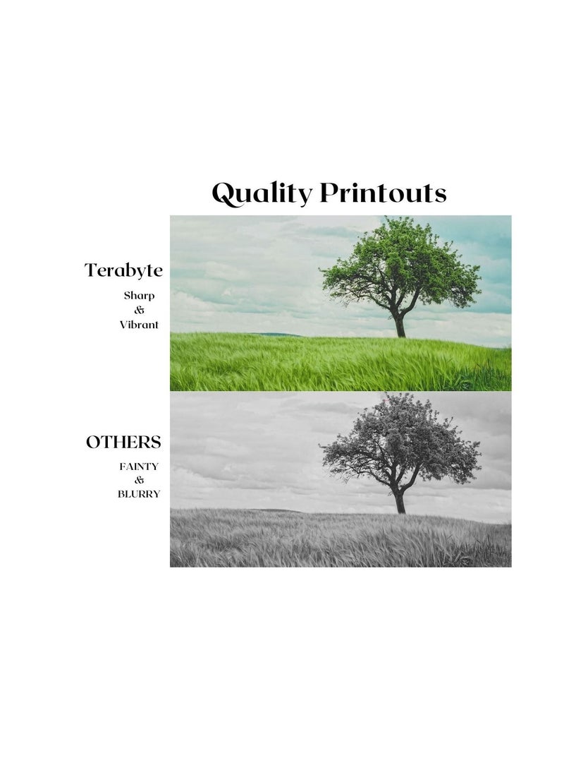 Terabyte 136A BLACK COMPATIBLE TONER - Image 4