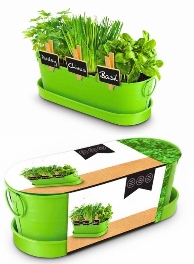 تريدجيت طقم أحواض زراعة الأعشاب للنوافذ مع صينية تصريف - مجموعة زراعة أعشاب داخلية للمطبخ	أواني معدنية ديكورية لزراعة الريحان والنعناع والبقدونس الطازج - Image 2