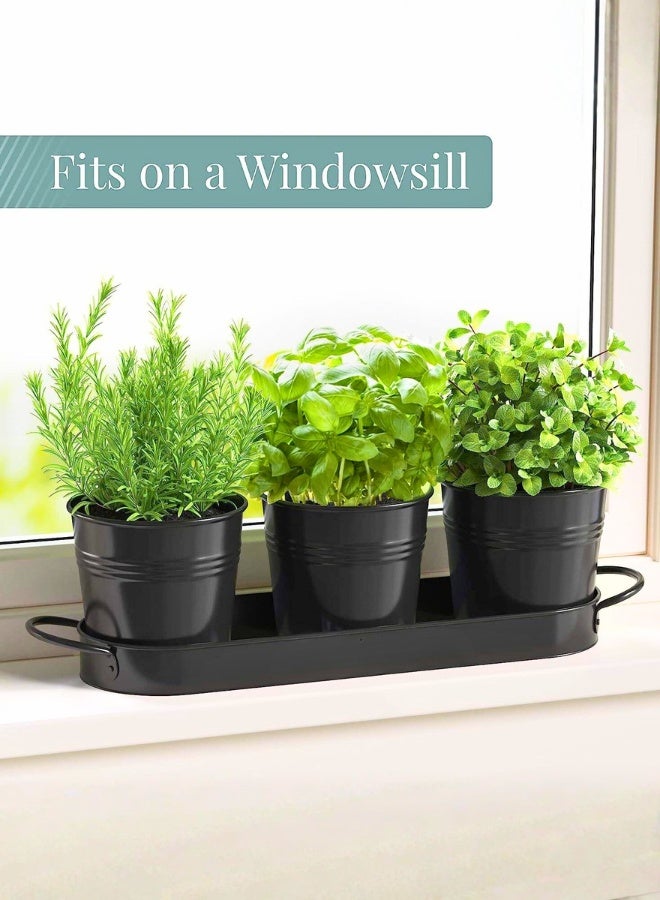 تريدجيت طقم أحواض زراعة الأعشاب للنوافذ مع صينية تصريف - مجموعة زراعة أعشاب داخلية للمطبخ	أواني معدنية ديكورية لزراعة الريحان والنعناع والبقدونس الطازج - Image 3
