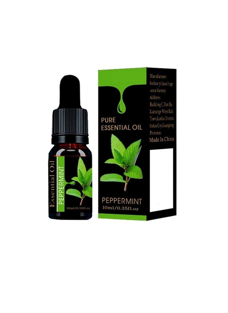 Generic - Peppermint 10ML - Pure Essential Oil For Air Diffuser and Humidifier - Image 1