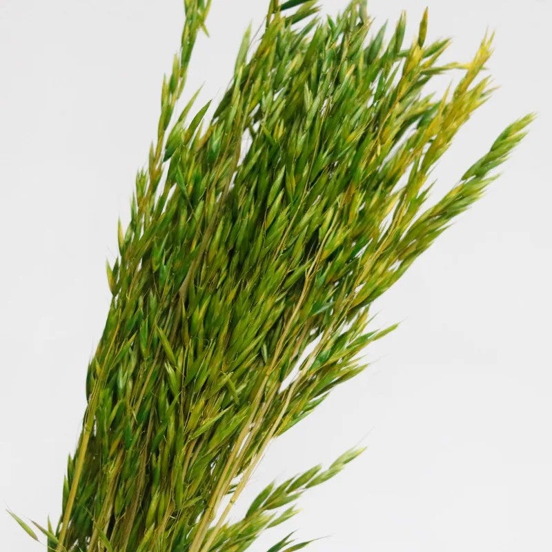 Bluejw Natural Dried Wheat Stems Bouquet - Rustic Dried Flowers Decorative Arrangement for Home Decor, Farmhouse Wedding, Nature Dried Plants Ornaments - Image 1