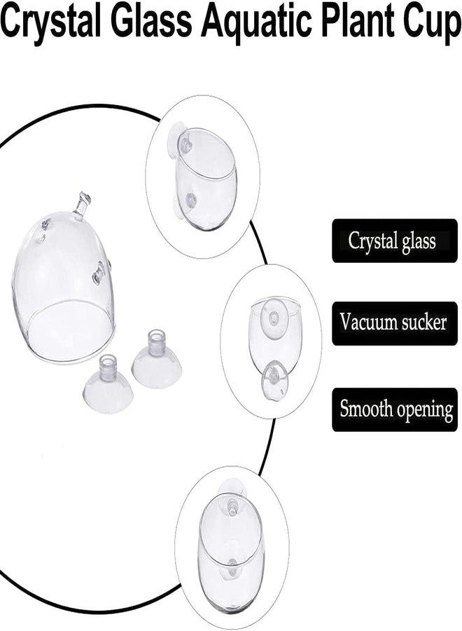 حامل نباتات حوض السمك VAYINATO®، وعاء منقط، حوض سمك مع كوب شفط لتثبيت النباتات، قطعة واحدة - وعاء زجاجي كريستالي للنباتات المائية، قطعة ديكور من Petzlifeworld - Image 2